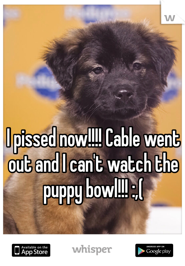 I pissed now!!!! Cable went out and I can't watch the puppy bowl!!! :,(