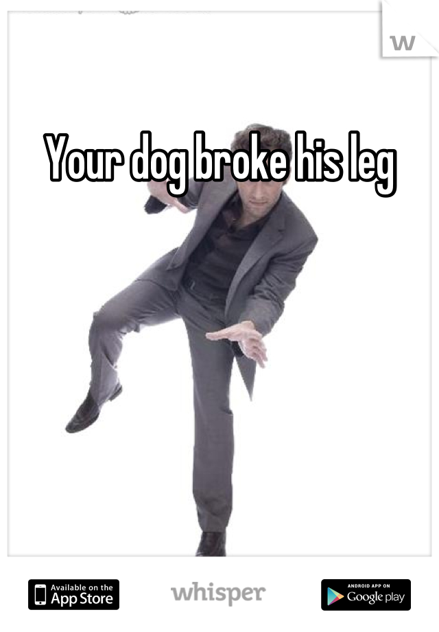 Your dog broke his leg