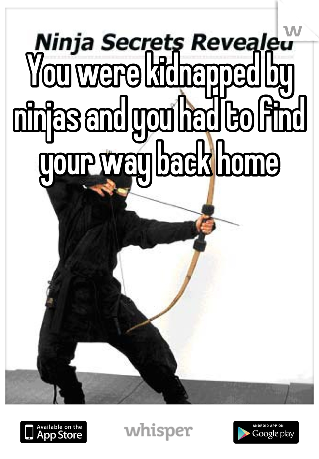 You were kidnapped by ninjas and you had to find your way back home