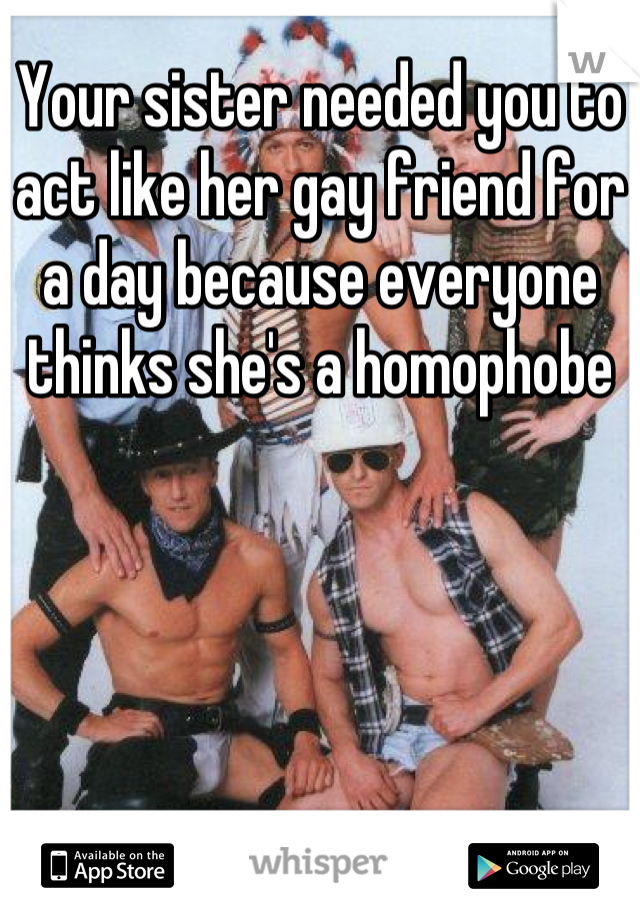 Your sister needed you to act like her gay friend for a day because everyone thinks she's a homophobe