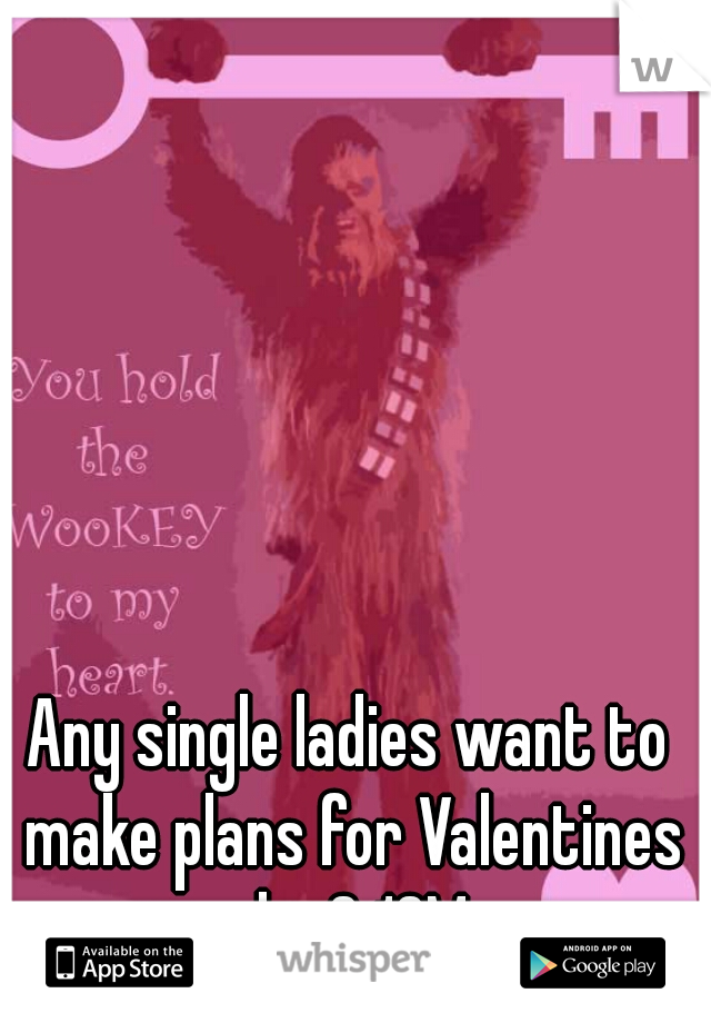 Any single ladies want to make plans for Valentines day? 19M