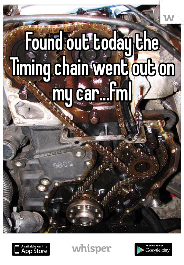 Found out today the Timing chain went out on my car...fml