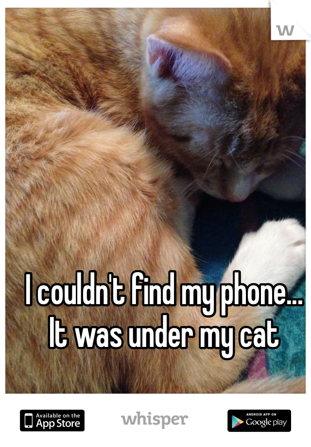 I couldn't find my phone... It was under my cat 