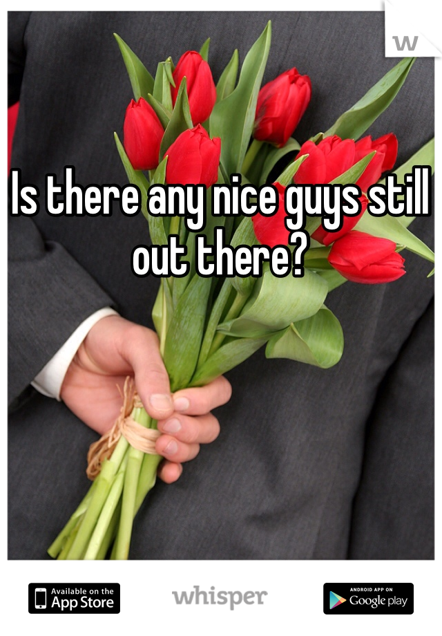 Is there any nice guys still out there? 