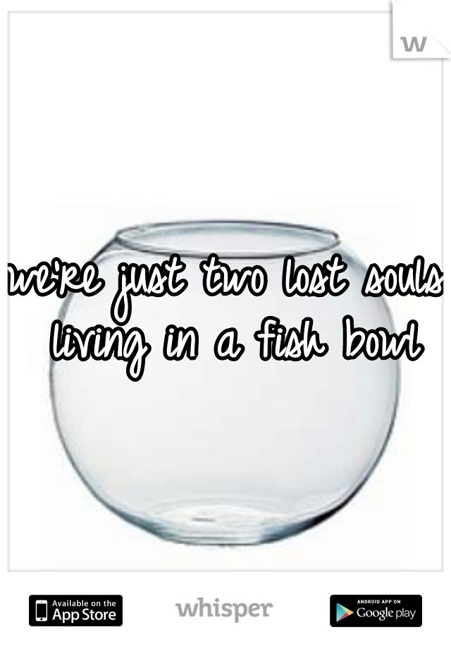 we're just two lost souls living in a fish bowl
