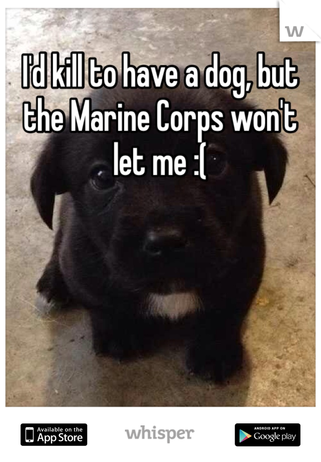 I'd kill to have a dog, but the Marine Corps won't let me :(