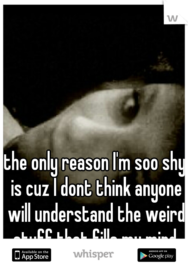 the only reason I'm soo shy is cuz I dont think anyone will understand the weird stuff that fills my mind.