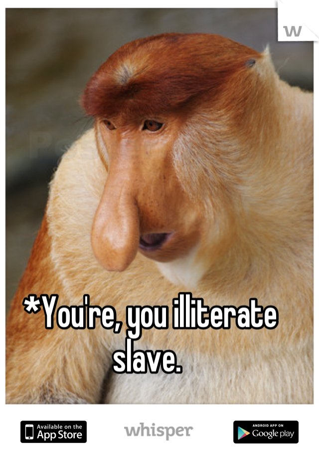 *You're, you illiterate slave. 