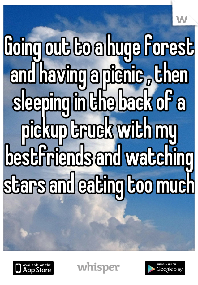 Going out to a huge forest and having a picnic , then sleeping in the back of a pickup truck with my bestfriends and watching stars and eating too much