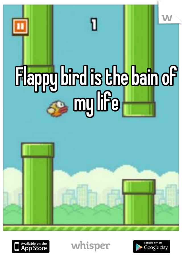 Flappy bird is the bain of my life