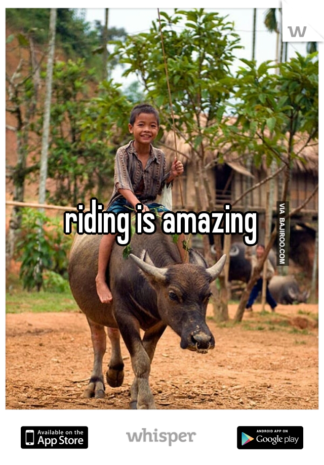 riding is amazing