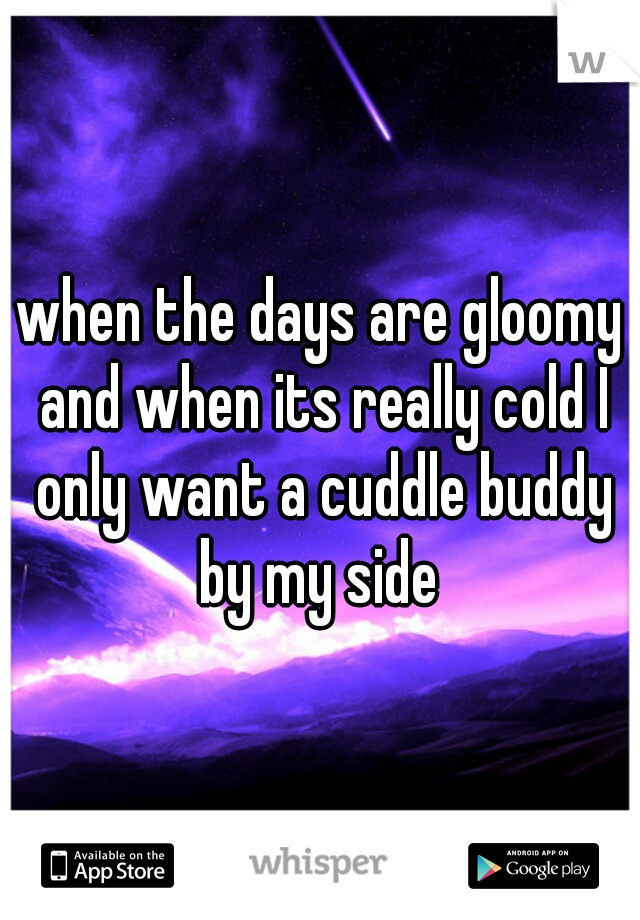 when the days are gloomy and when its really cold I only want a cuddle buddy by my side 