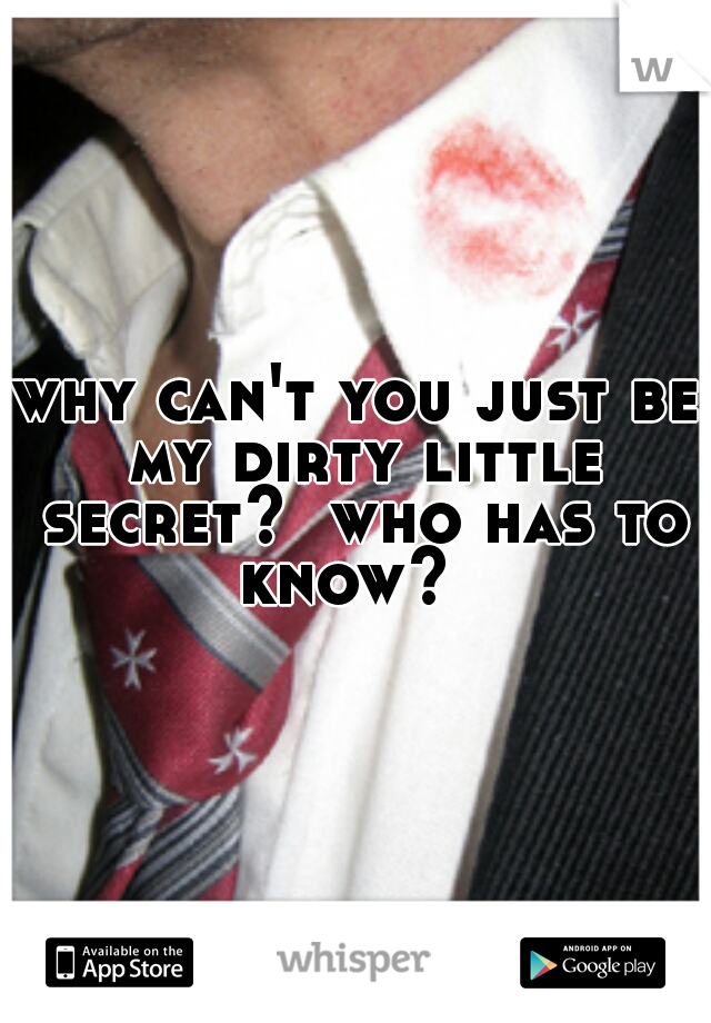 why can't you just be my dirty little secret?  who has to know?  