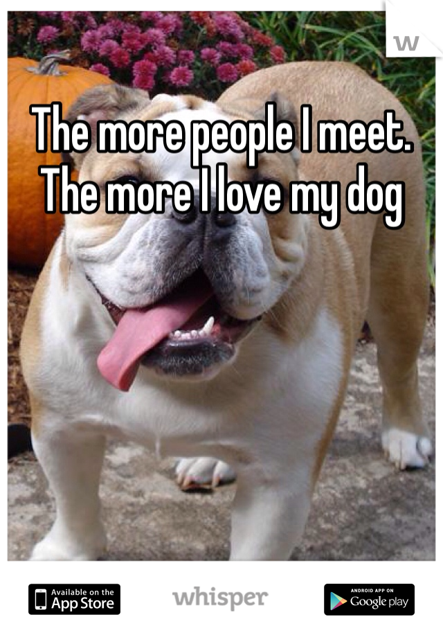 The more people I meet. The more I love my dog