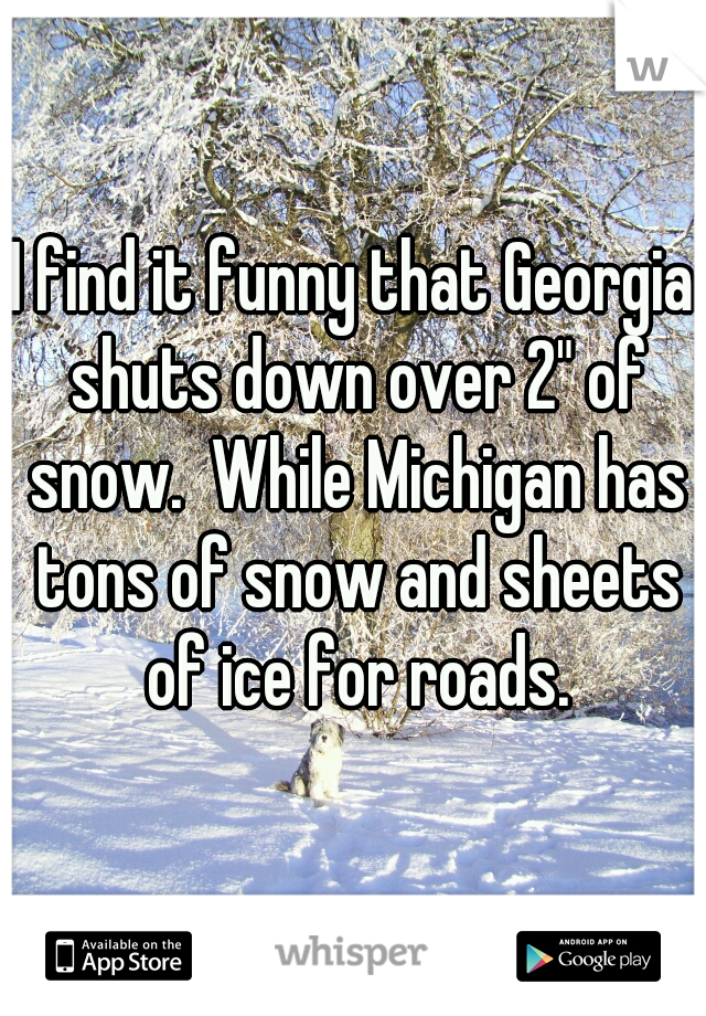 I find it funny that Georgia shuts down over 2" of snow.  While Michigan has tons of snow and sheets of ice for roads.