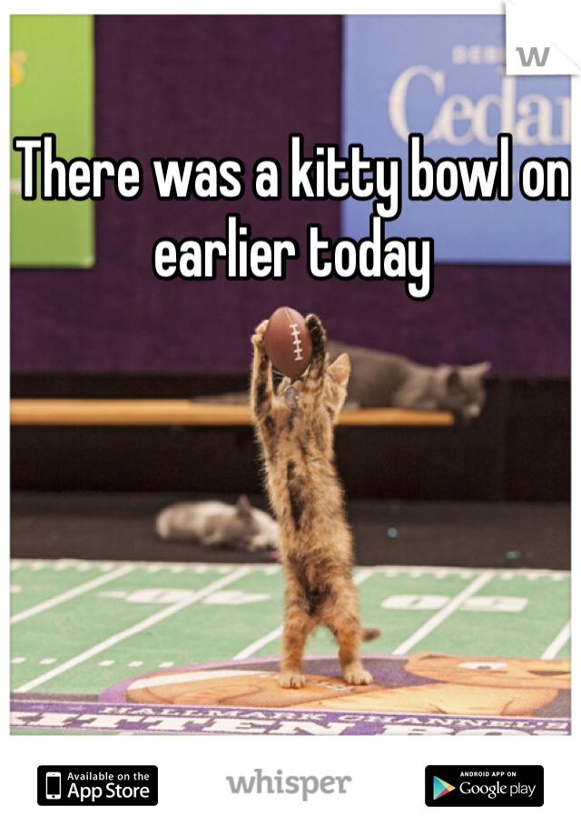 There was a kitty bowl on earlier today 