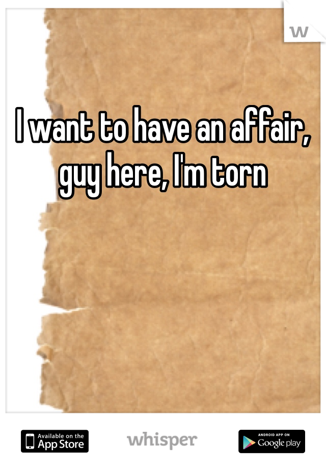 I want to have an affair, guy here, I'm torn 