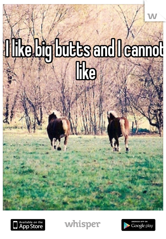 I like big butts and I cannot  like 