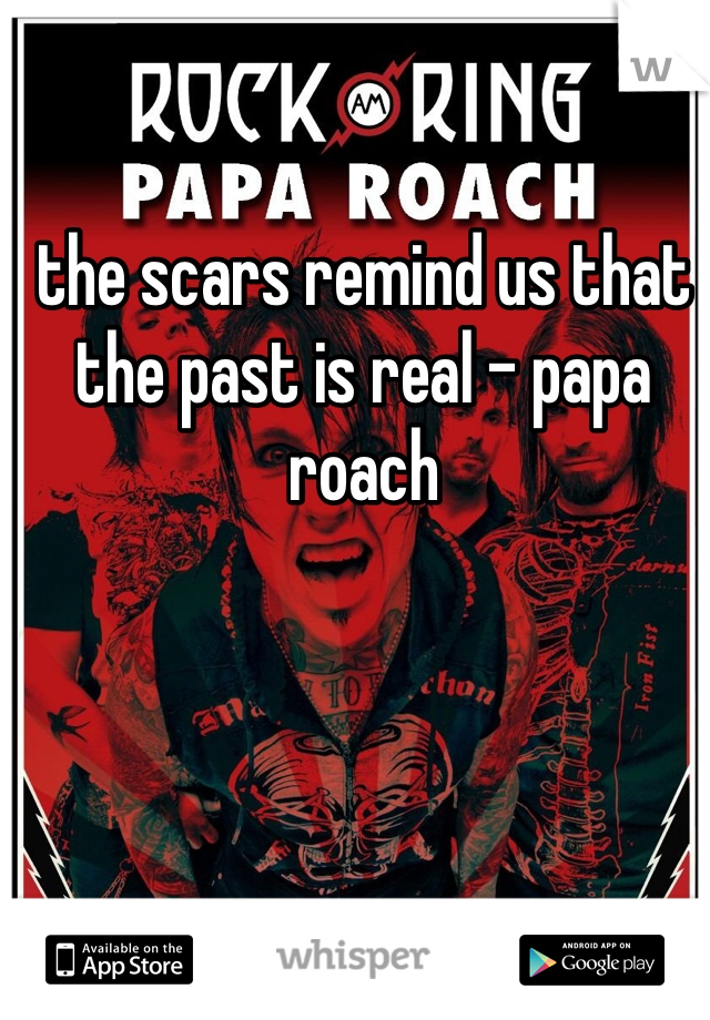 the scars remind us that the past is real - papa roach