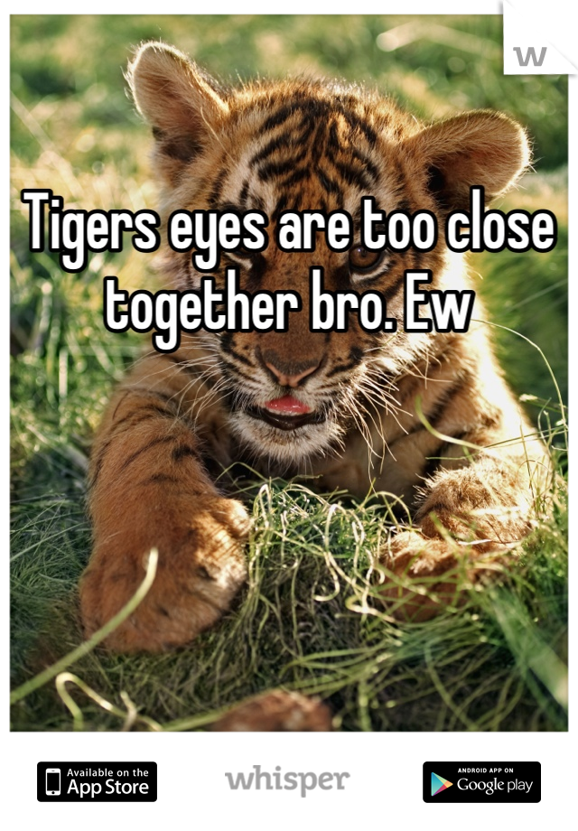 Tigers eyes are too close together bro. Ew