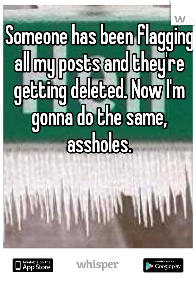 Someone has been flagging all my posts and they're getting deleted. Now I'm gonna do the same, assholes. 