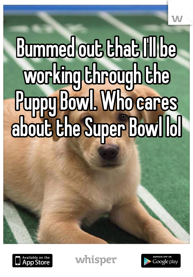 Bummed out that I'll be working through the Puppy Bowl. Who cares about the Super Bowl lol