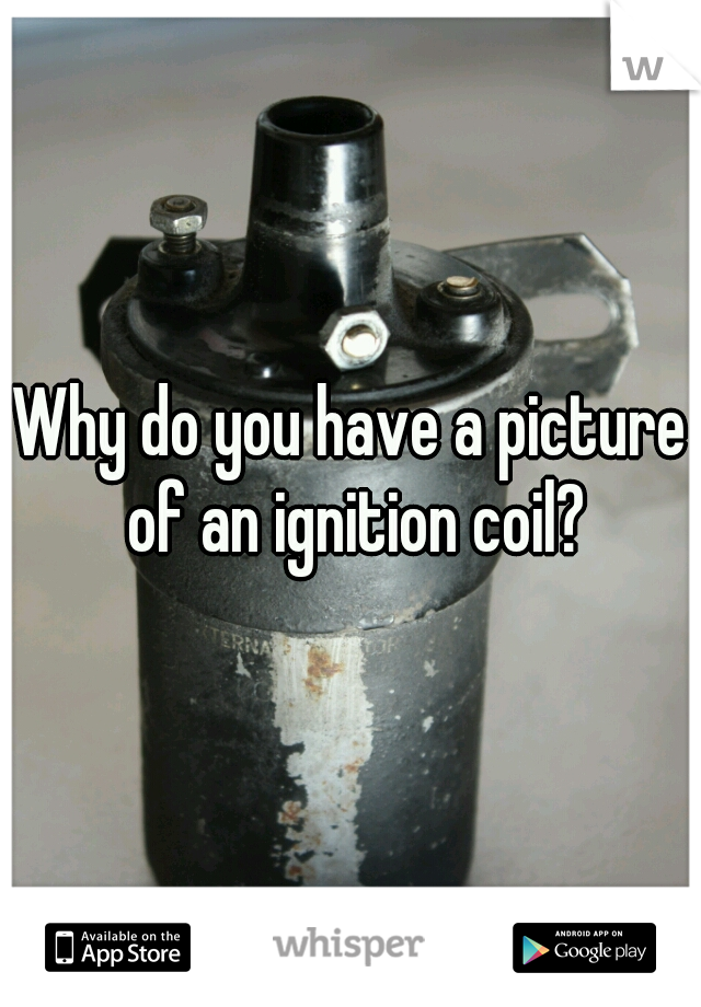 Why do you have a picture of an ignition coil?
