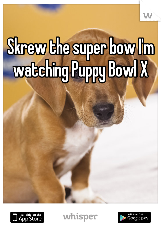 Skrew the super bow I'm watching Puppy Bowl X