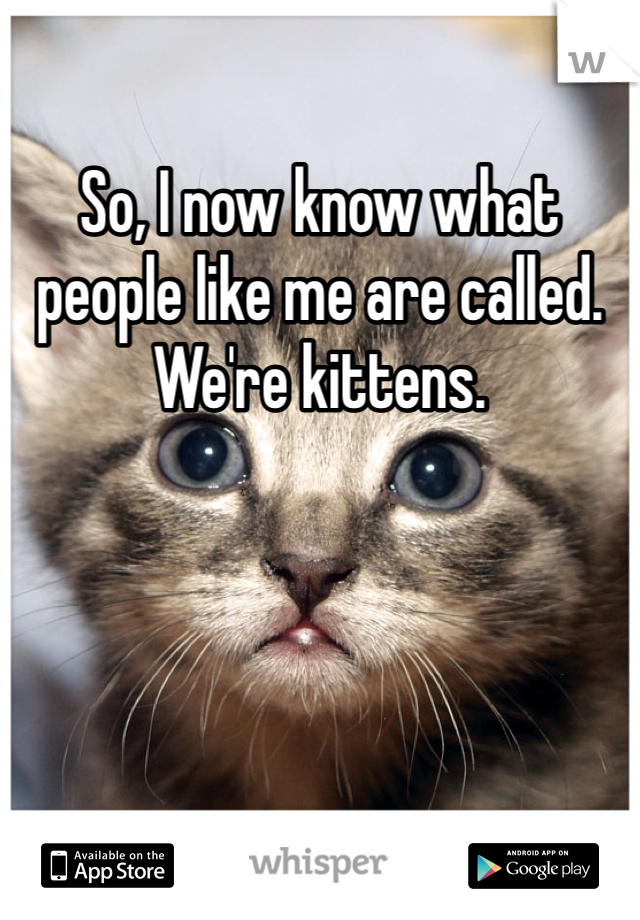 So, I now know what people like me are called.
We're kittens.