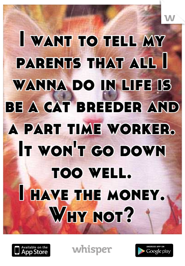 I want to tell my parents that all I wanna do in life is be a cat breeder and a part time worker.
It won't go down too well.
I have the money.
Why not?