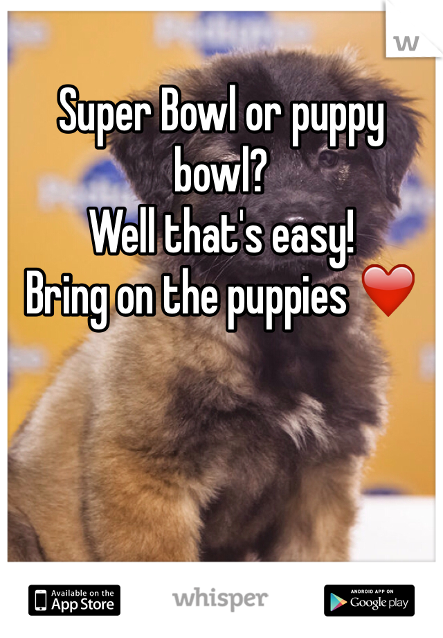 Super Bowl or puppy bowl?
Well that's easy! 
Bring on the puppies ❤️