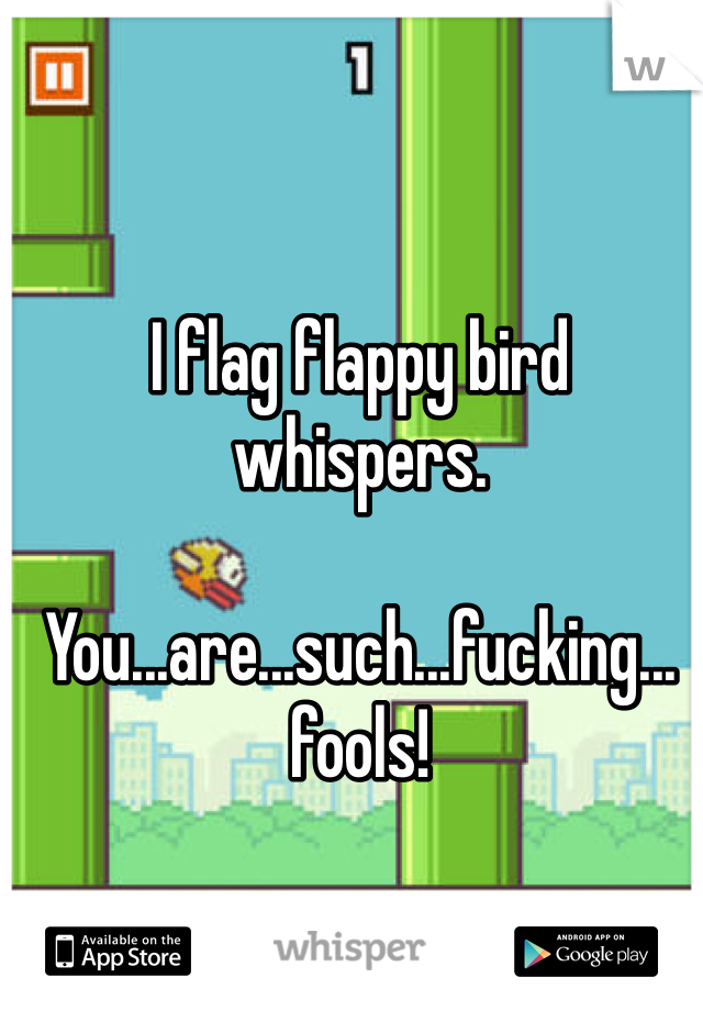 I flag flappy bird whispers.

You...are...such...fucking...
fools!