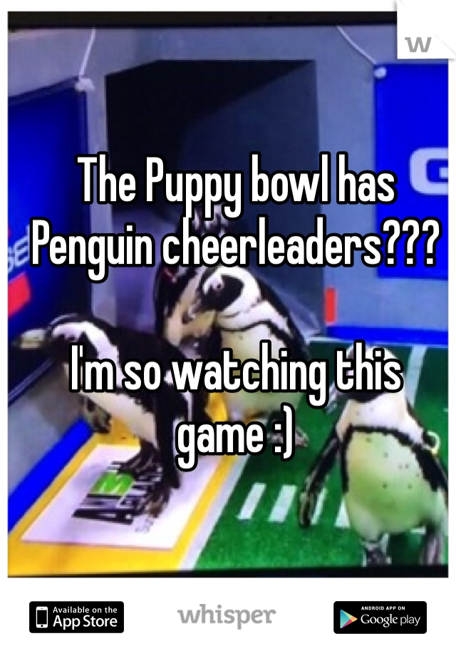 The Puppy bowl has Penguin cheerleaders???

I'm so watching this game :)