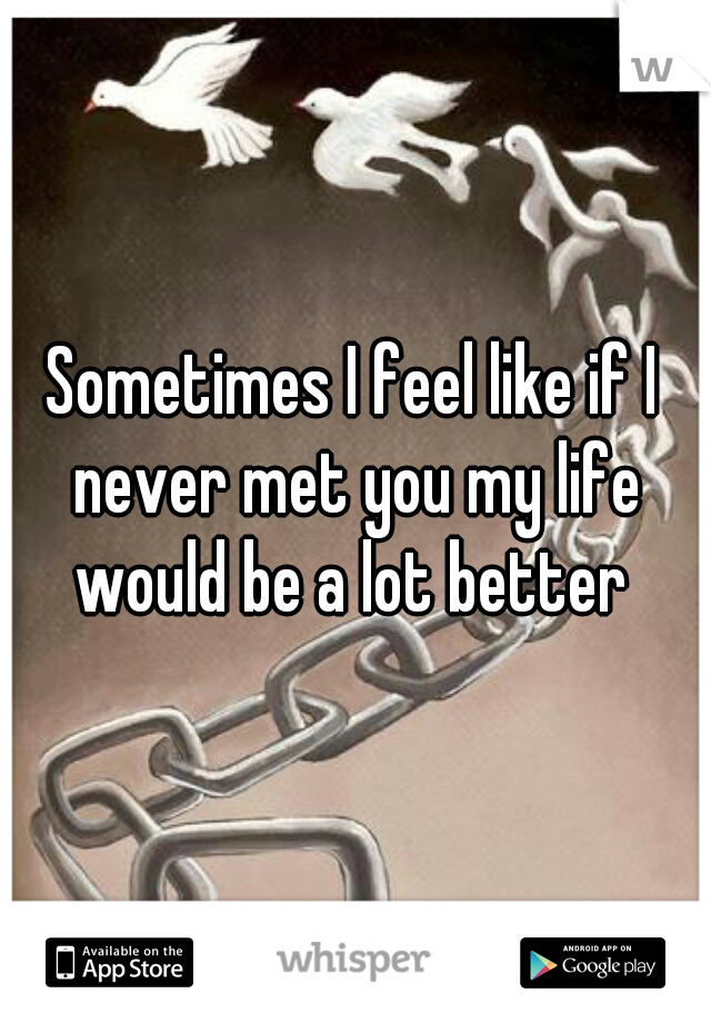 Sometimes I feel like if I never met you my life would be a lot better 