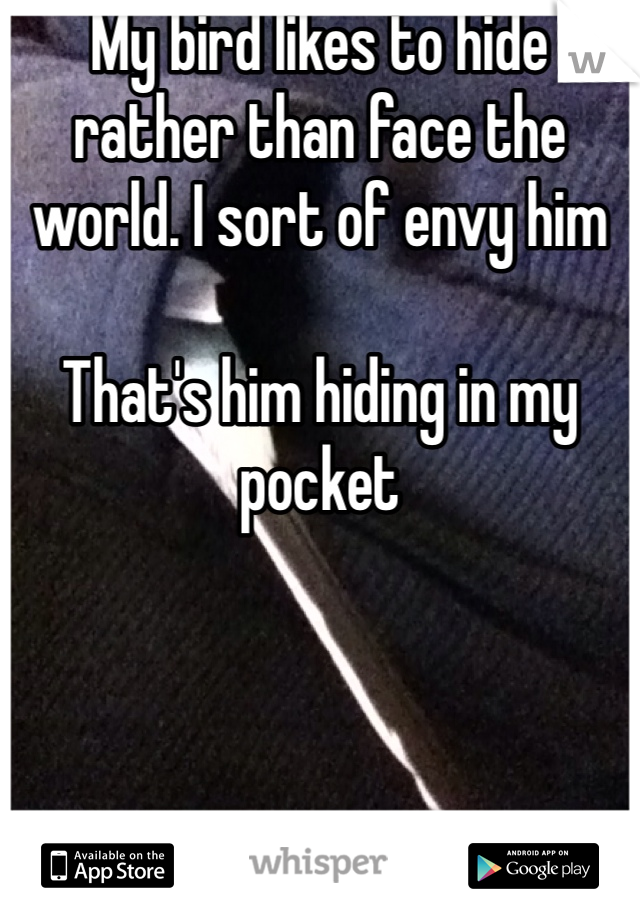 My bird likes to hide rather than face the world. I sort of envy him

That's him hiding in my pocket
