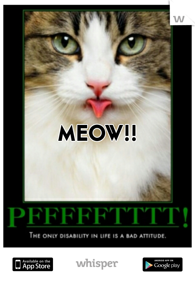 MEOW!!