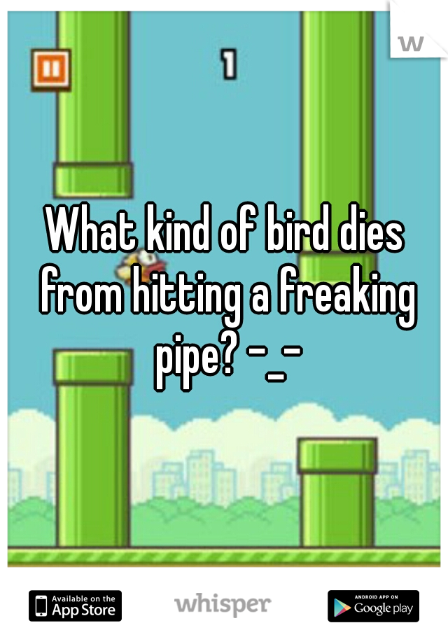 What kind of bird dies from hitting a freaking pipe? -_-