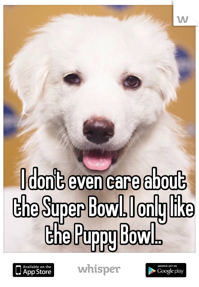 I don't even care about the Super Bowl. I only like the Puppy Bowl..