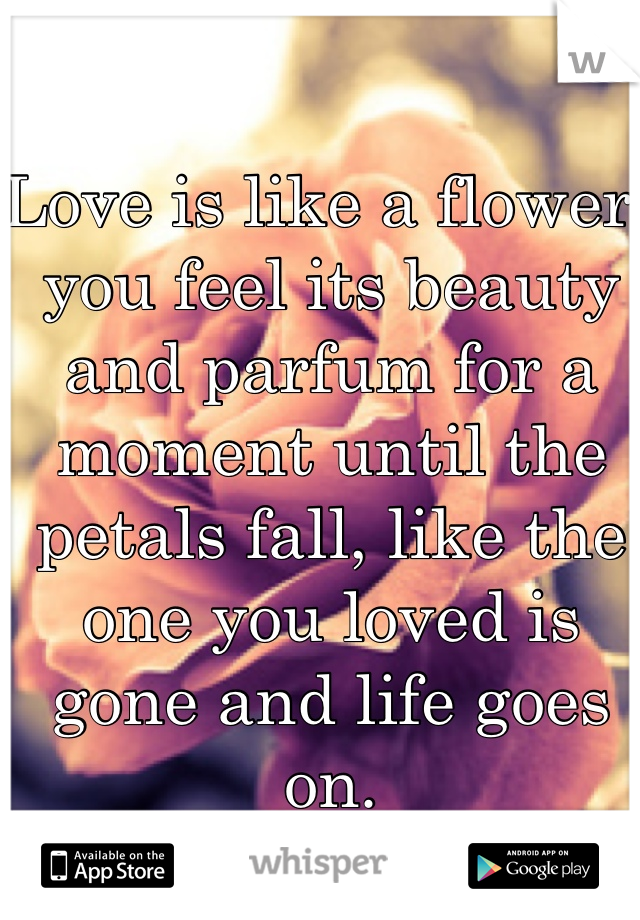 Love is like a flower, you feel its beauty and parfum for a moment until the petals fall, like the one you loved is gone and life goes on.