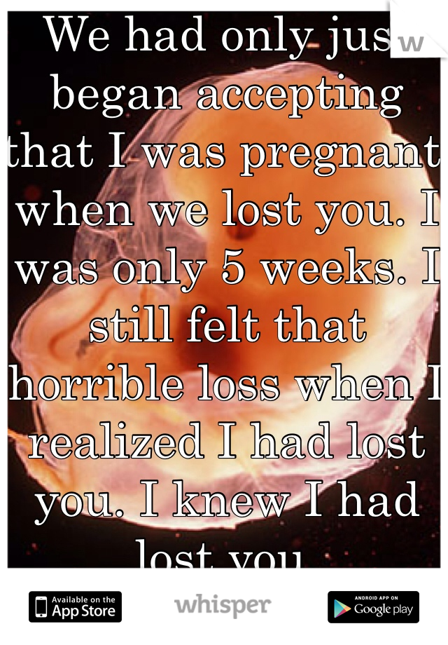 We had only just began accepting that I was pregnant when we lost you. I was only 5 weeks. I still felt that horrible loss when I realized I had lost you. I knew I had lost you.