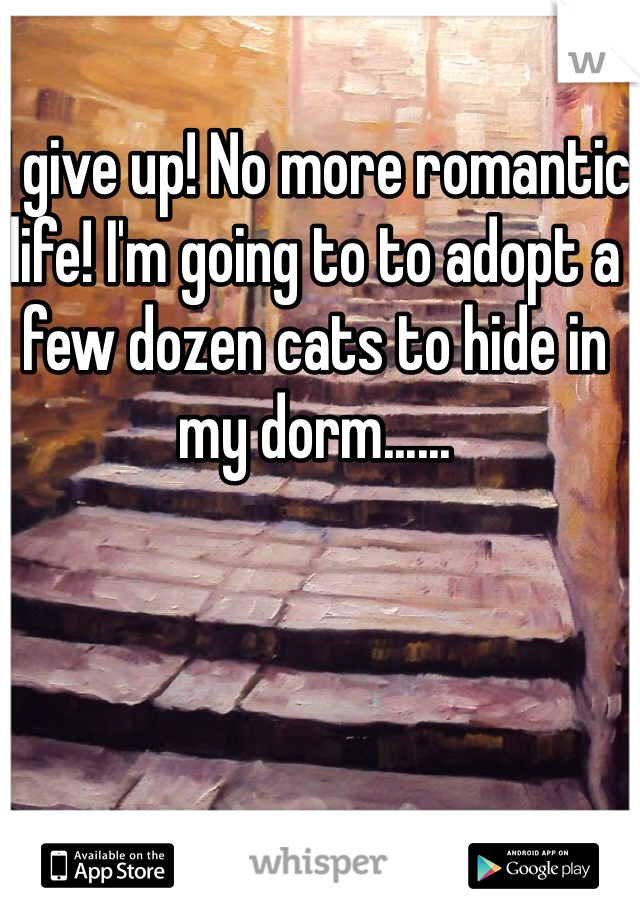 I give up! No more romantic life! I'm going to to adopt a few dozen cats to hide in my dorm......