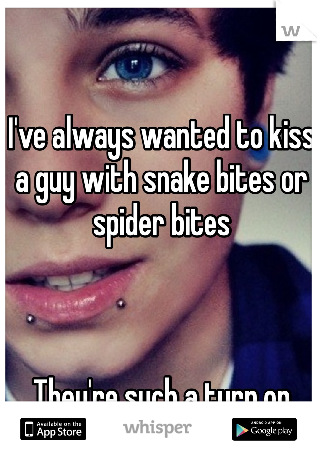 I've always wanted to kiss a guy with snake bites or spider bites



They're such a turn on 