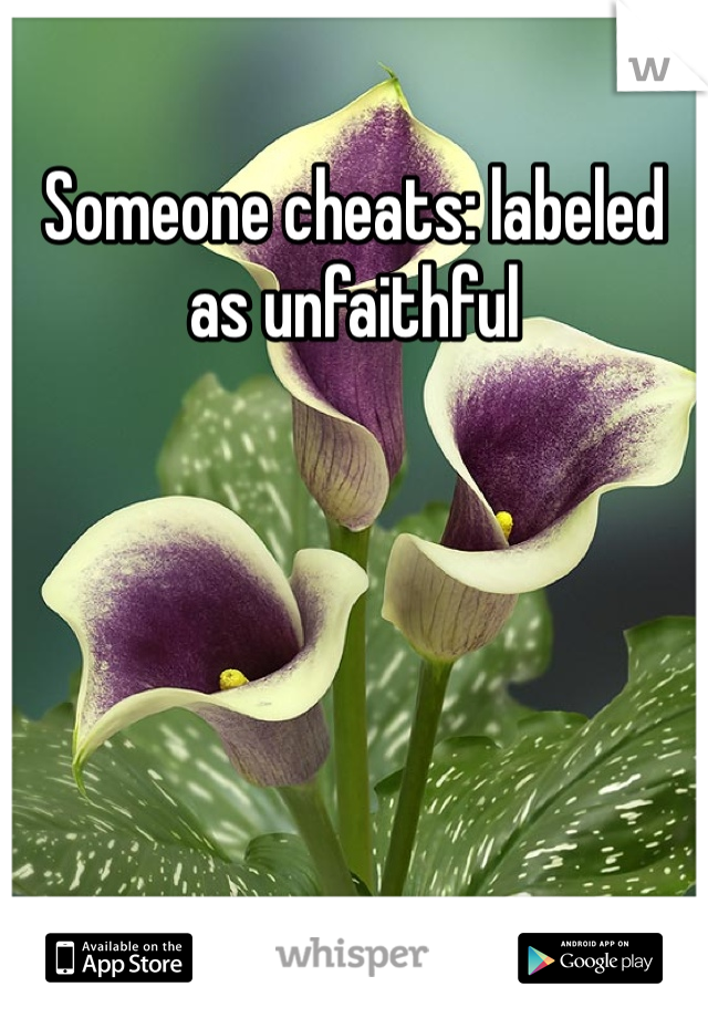 Someone cheats: labeled as unfaithful