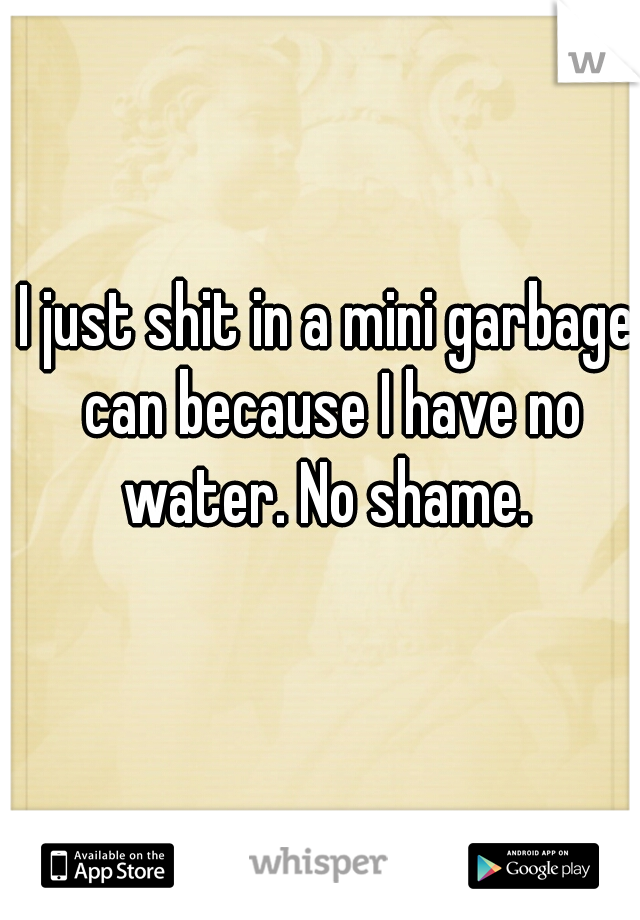 I just shit in a mini garbage can because I have no water. No shame. 