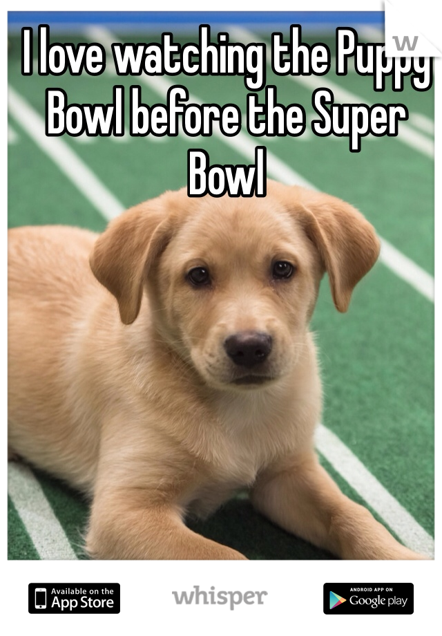 I love watching the Puppy Bowl before the Super Bowl