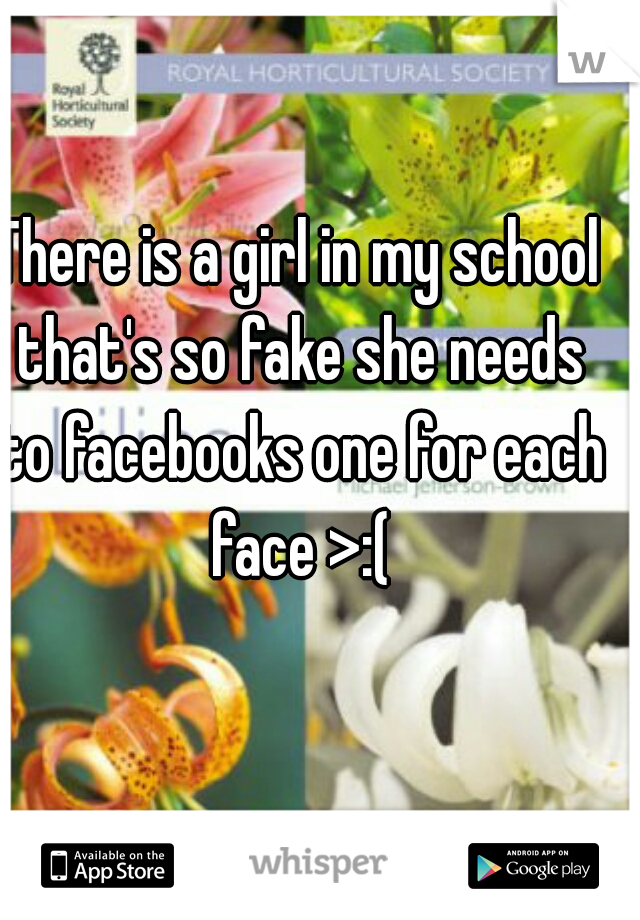 There is a girl in my school that's so fake she needs to facebooks one for each face >:(