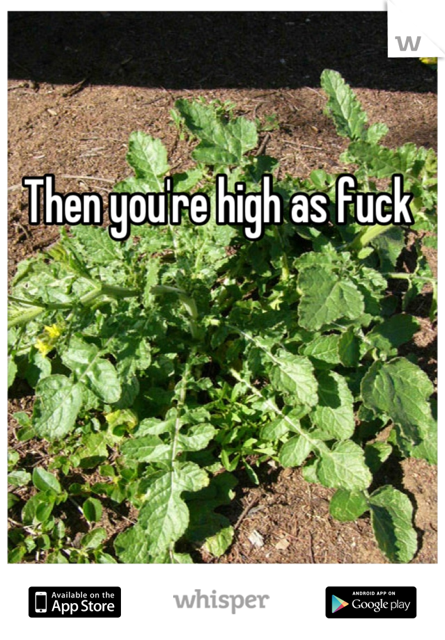 Then you're high as fuck 