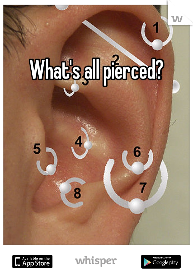 What's all pierced? 