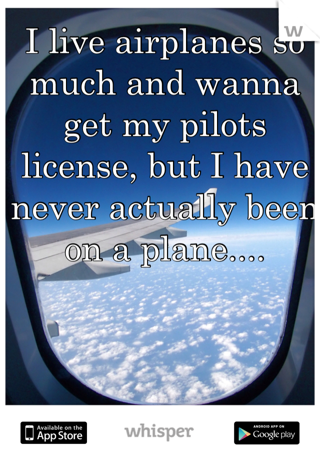 I live airplanes so much and wanna get my pilots license, but I have never actually been on a plane.... 