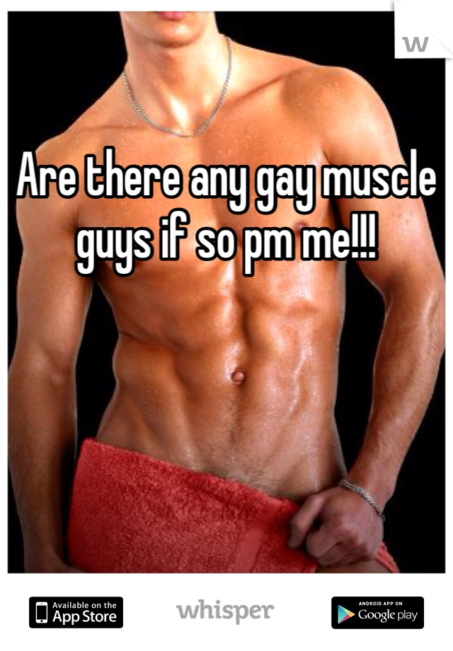 Are there any gay muscle guys if so pm me!!!